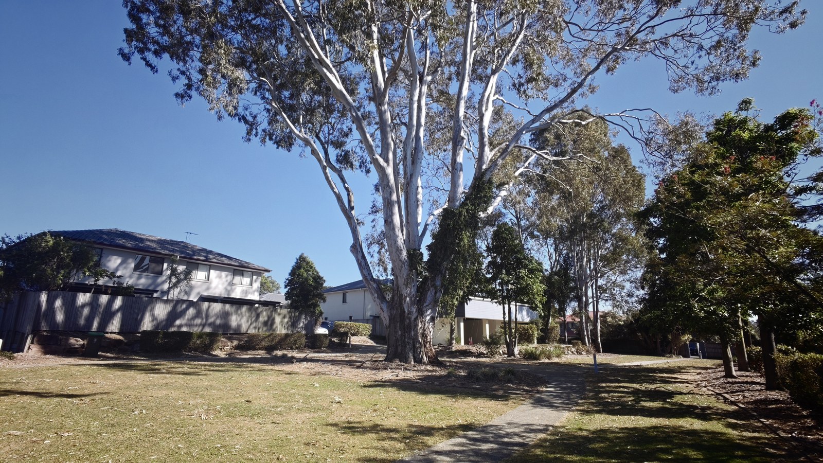 Open lawn and walking path in Greens Bay Park