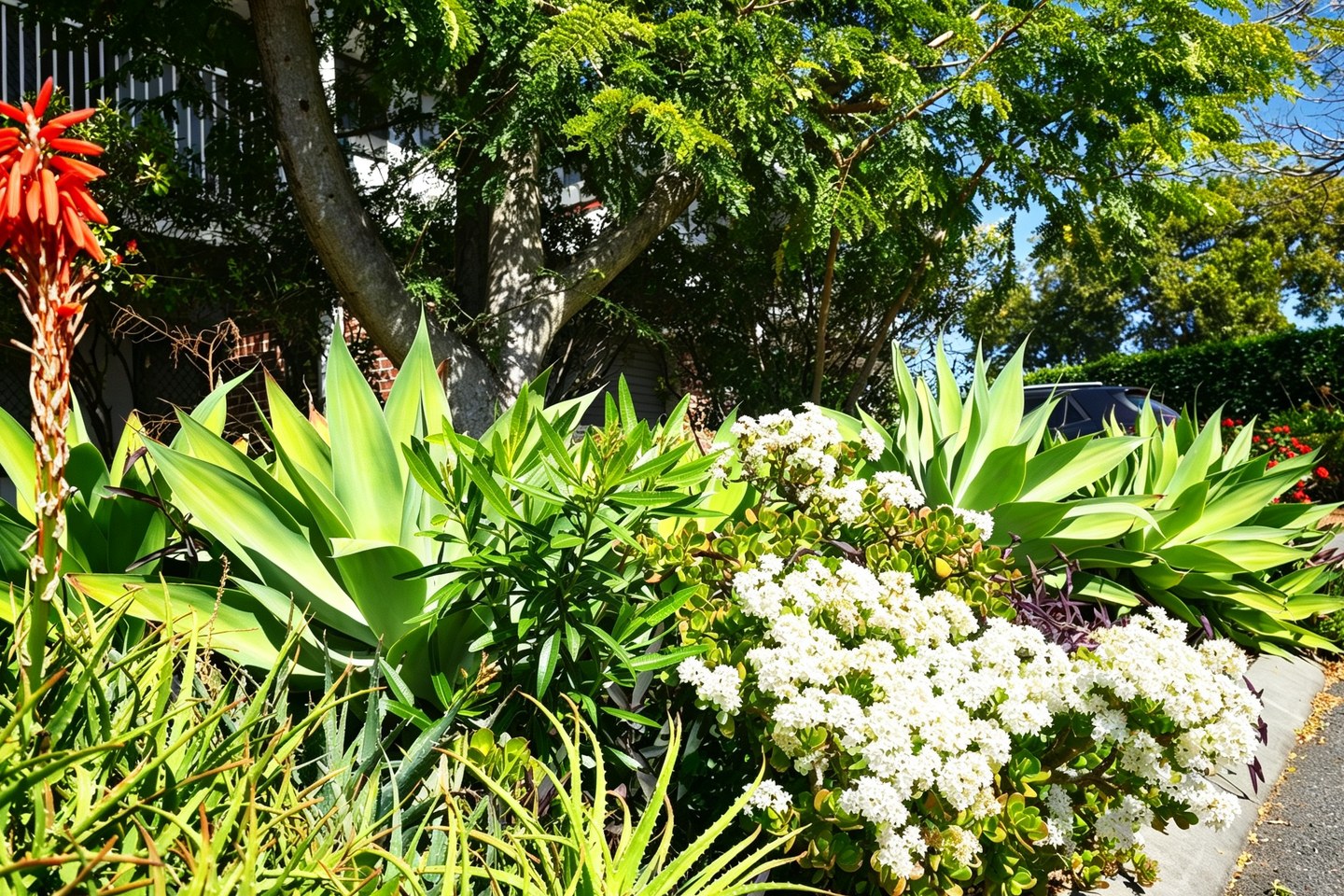 Colourful established garden planting beside an Outlook Courts internal road